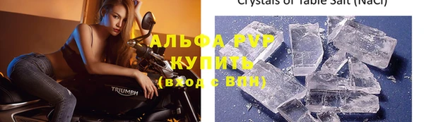 гашик Тавда