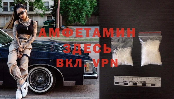 гашик Тавда