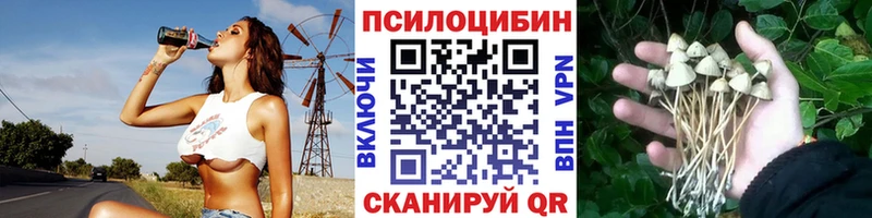 Псилоцибиновые грибы ЛСД  цена наркотик  Кировград 